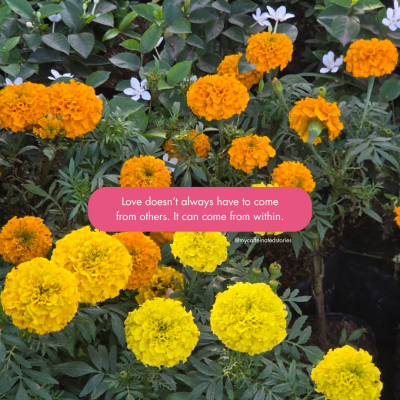 Love doesn’t always have to come from others. It can come from within.