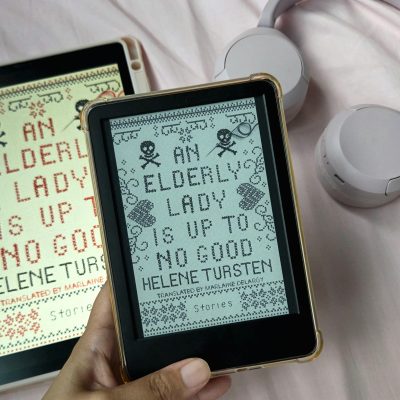 An Elderly Lady Is Up To No Good, Helene Tursten